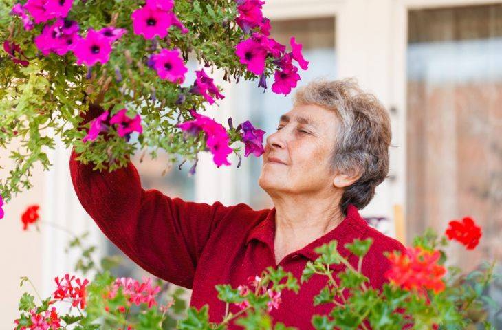 Koku alamamak bilişsel bozukluklar ve alzheimer demans erken belirtisi olabilir