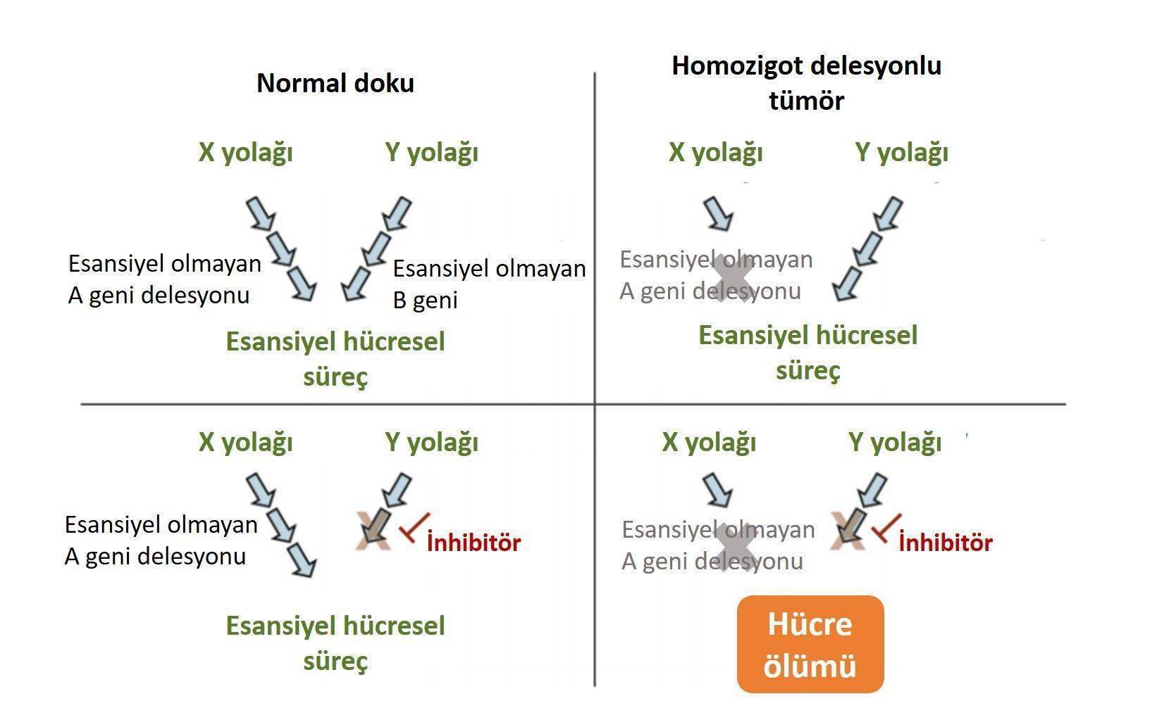 Kollateral