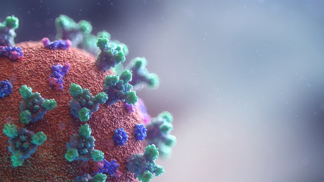 Koronavirüsün en çok konuşulan yapısal özelliği spike diken proteinleri