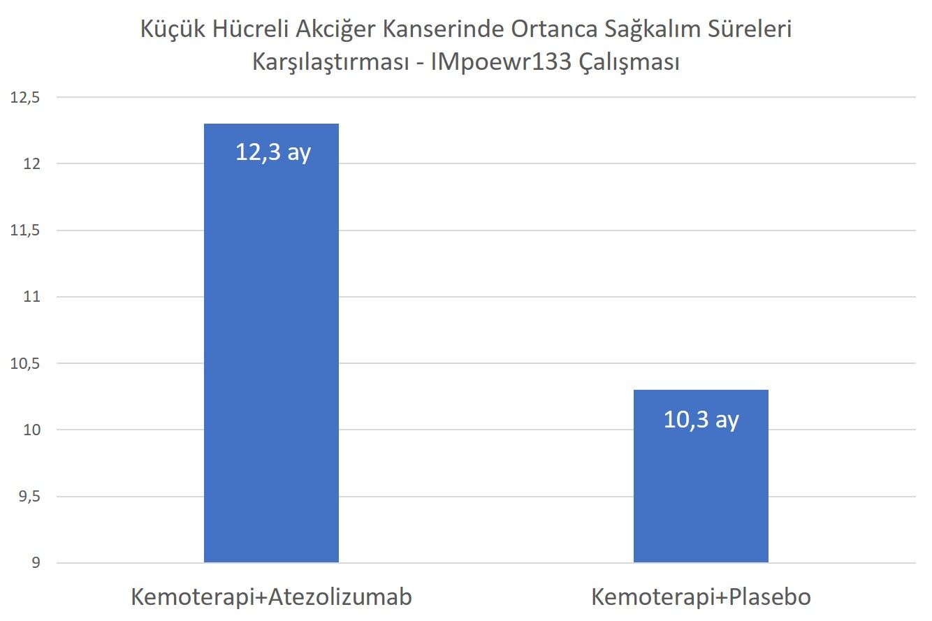 Küçük hücreli Akciğer kanserinde yaşam süresi IMpoewr133 çalışması atezolizumab tecentri