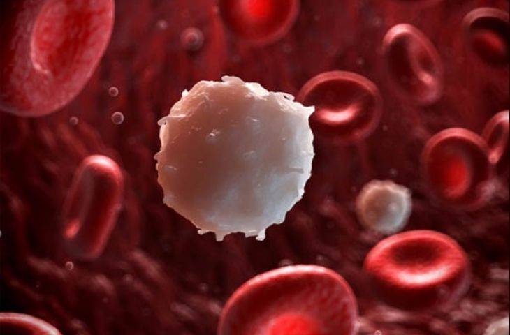 Lenf kanseri tedavisinin yeni silahı ibrutinib’in etkisi, ofatumumab’a kıyasla daha etkili midir?