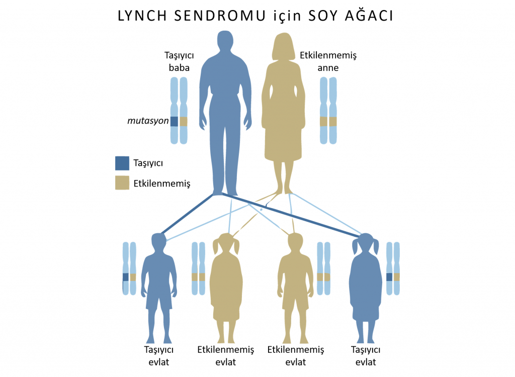 Lynch sendromu kolon kanseri otozomal dominant kalıtsal geçiş soy ağacı pedigri 1024x750