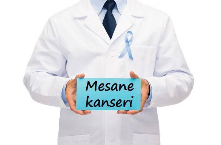 Mesane Kanseri Tedavisinde Yeni İmmünoterapi İlacı Atezolizumab Umut Vaad Ediyor