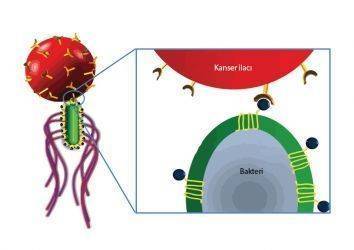 NanoRobotlar: Kanser Tedavisinin Geleceği