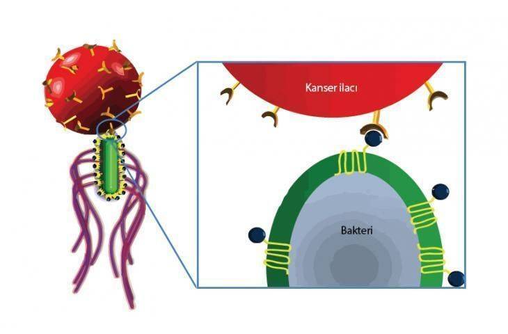 NanoRobotlar: Kanser Tedavisinin Geleceği