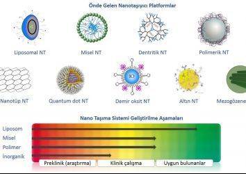 Nanotanecik nedir, örnekleri nelerdir? Kanser tanısında nanoteknoloji