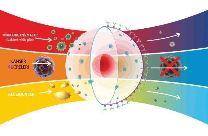 Prostat kanserinde ısı – hipertermi tedavisi