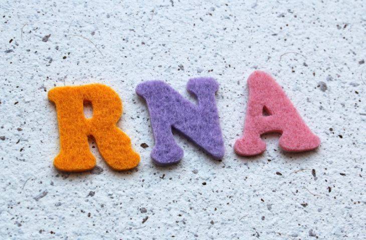 RNA nedir, ne işe yarar? Kanser tanı ve tedavisinde kullanımı