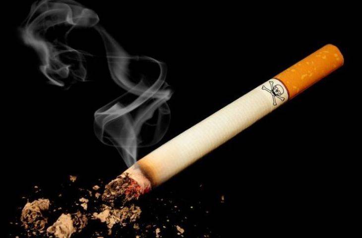 Sigaranın Neden Olduğu Yaşam Kayıpları Tahmin Edilenlerin de Ötesinde