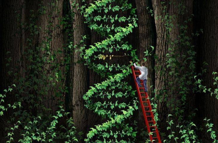 Standart tedavilere dirençli 4. evre prostat kanserinde DNA hasarı ve tamiri üzerine etkili yeni bir ilaç: Olaparib (Lynparza)