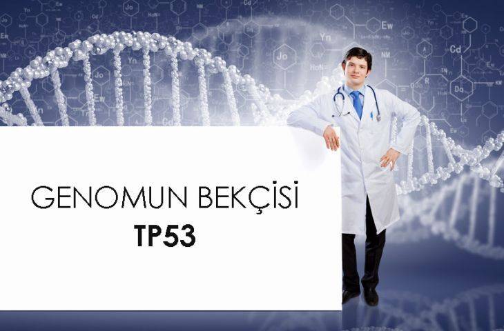 TP53 geni ve p53 proteini nedir? Kanserde TP53 mutasyon pozitifliği ne anlama gelmektedir?