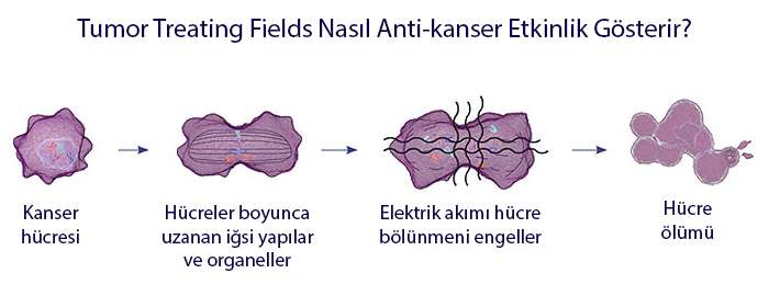 TTF düşük yoğunluklu alternatif elektriksel akım tümörlere etki mekanizması