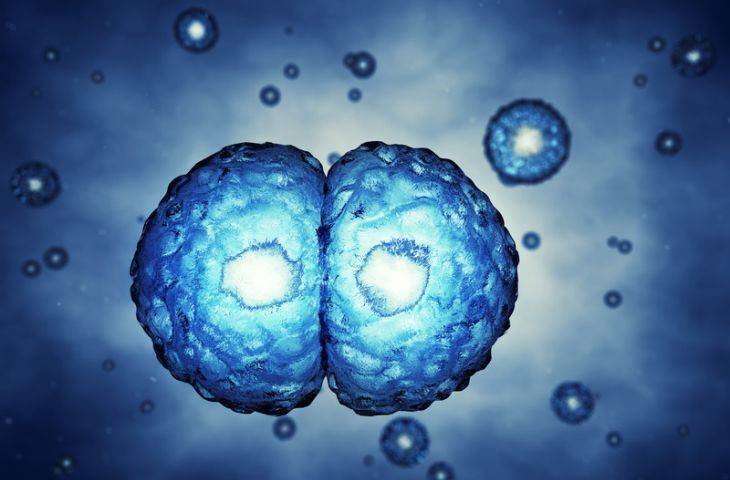 Tedaviye dirençli kanserler için çözüm ışığı: Mikro-RNA kullanımı