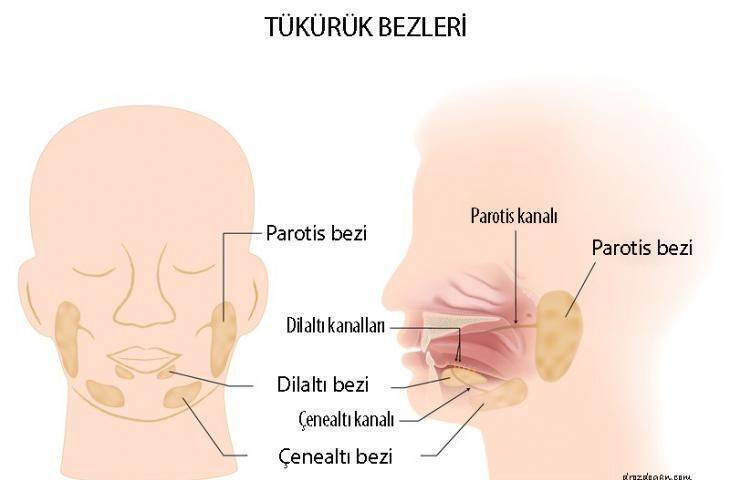 Ağız kuruluğu, nedenleri Ağız kuruluğu, nedenleri