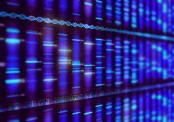 Tüm ekzom sekanslama genom dizi analizi nedir?