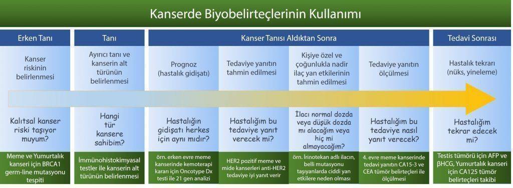 Tümör belirteçleri markerları kanser biyobelirteç 1024x376