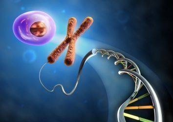 Yazı dizisi: Telomer ve Kanser ilişkisi 2. Kanser tedavisinde telomer hedefli ilaçlar