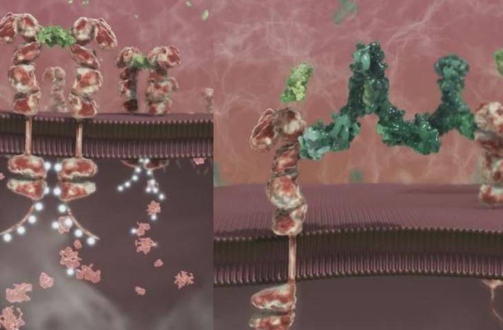 Yumuşak doku sarkomu için Olaratumab yaşam sürelerini uzattığı için FDA tarafından öncelikli incelemeye alındı