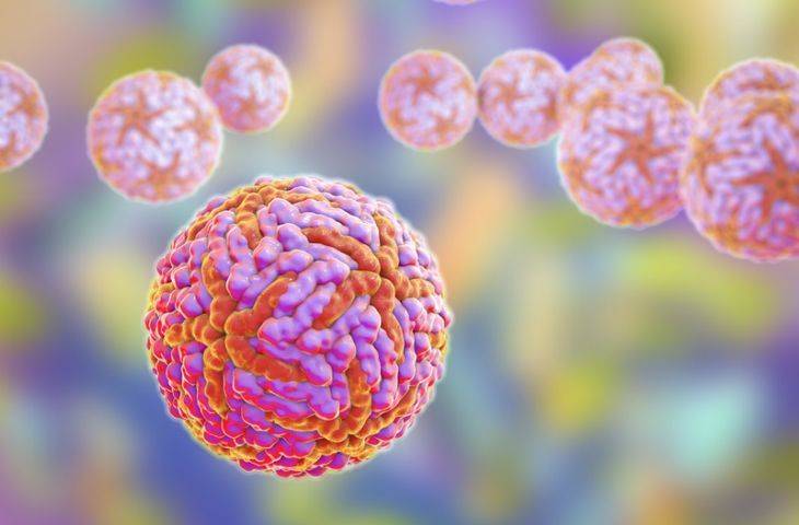 Zika virüsü beyin tümörü GBM tedavisinde kullanılabilir mi?