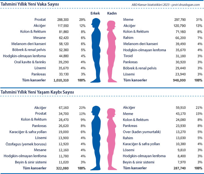 abd kanser istatistikleri 2023 cinsiyete göre yeni kanser vakaları ve ölümler