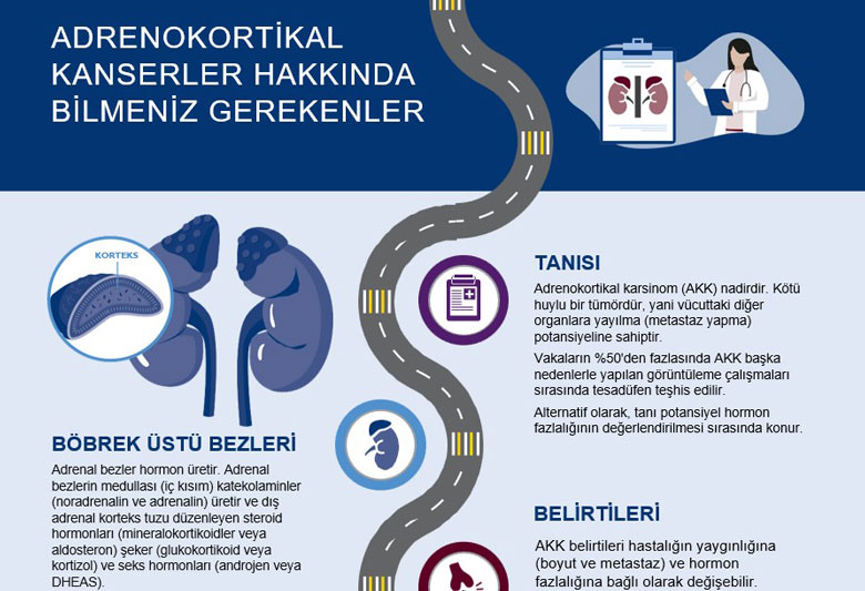adrenokortikal kanser nedir hakkında bilinmesi gerelenler infografi
