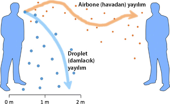 Aerosol airbone havadan taşınan droplet damlacık nedir