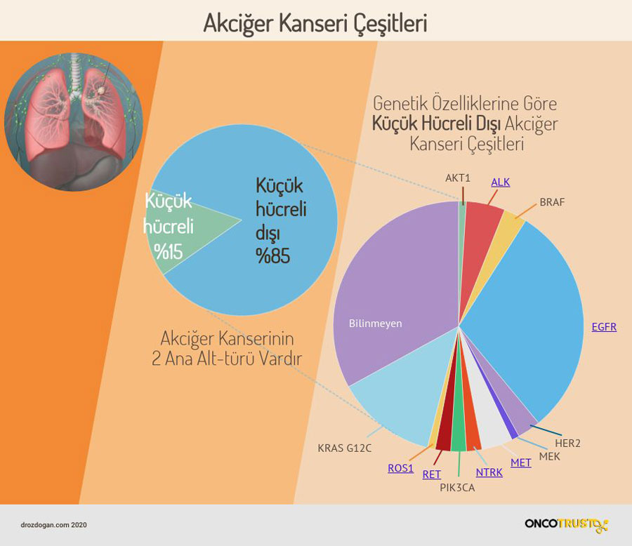 akciger kanseri cesitleri