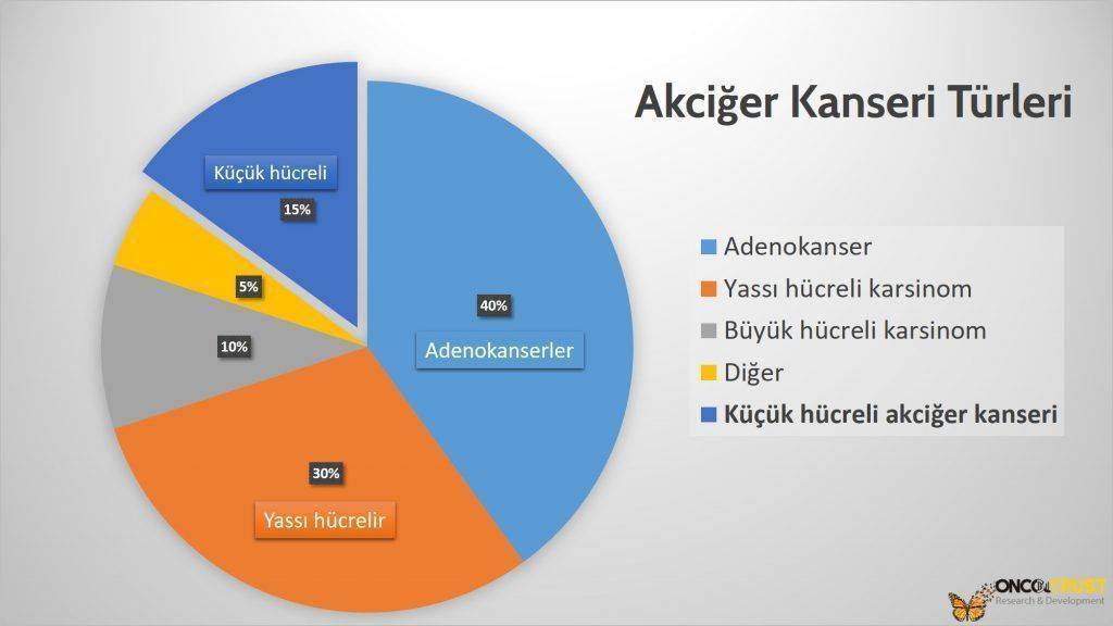 akciger kanseri cesitleri kucuk hucreli disi akciger kanseri adenokanser yassi hucreli kanser buyuk