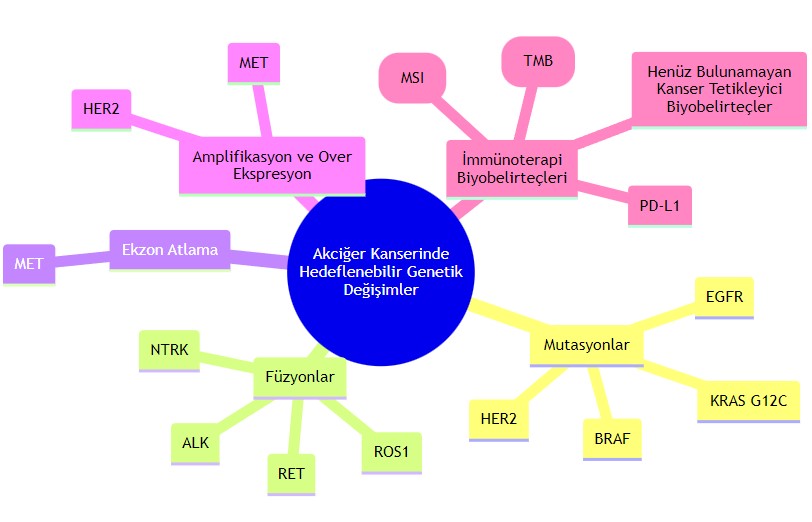 Akciğer Kanserinde Hedeflenebilir Genetik Değişimler ve immünoterapi biyomarkırları zihin har