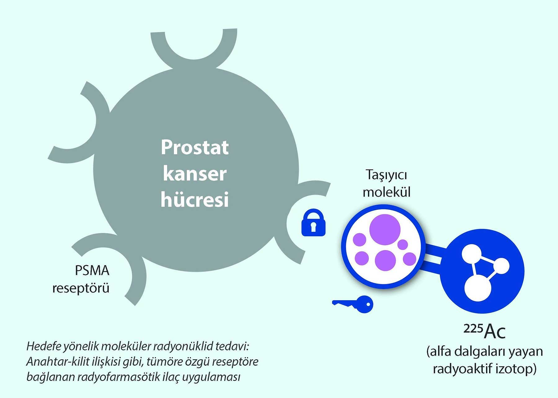 aktinyum alfa tedavisi