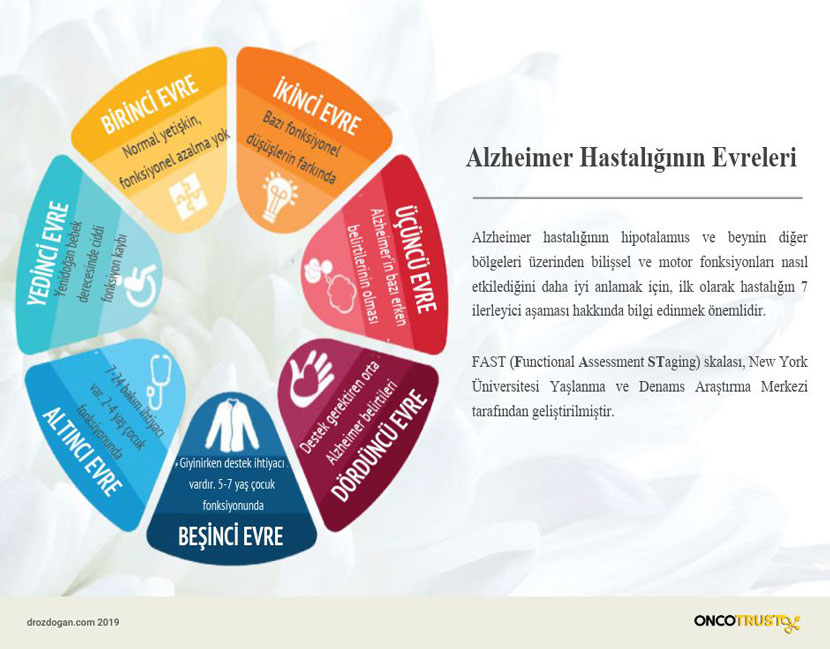alzheimer hastaliginin evreleri