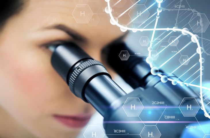Bağışıklık sistemimizde hafıza B hücrelerine ev sahipliği yapan yeni bir mikro organ keşfedildi