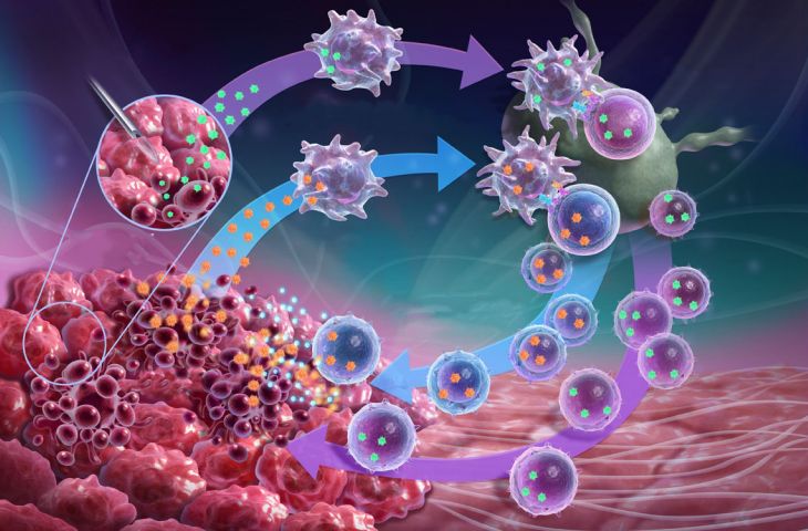 Bağışıklık sisteminin gizli anahtarı STING reseptörü – yeni immünoterapi hedefi