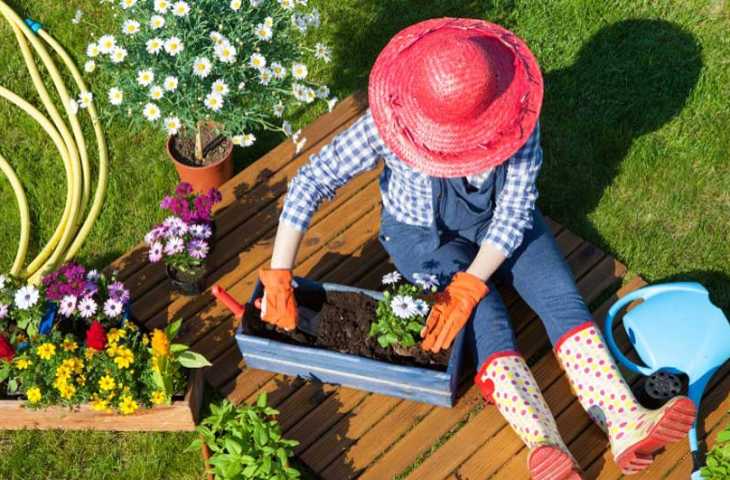 Bahçe İşleri, Kanser Riskini Azaltmaya ve Zihinsel Sağlığı Artırmaya Yardımcı Olabilir