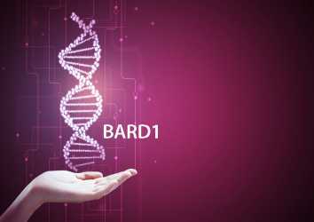 BARD1 gen mutasyonu nedir? Bilinmesi gerekenler
