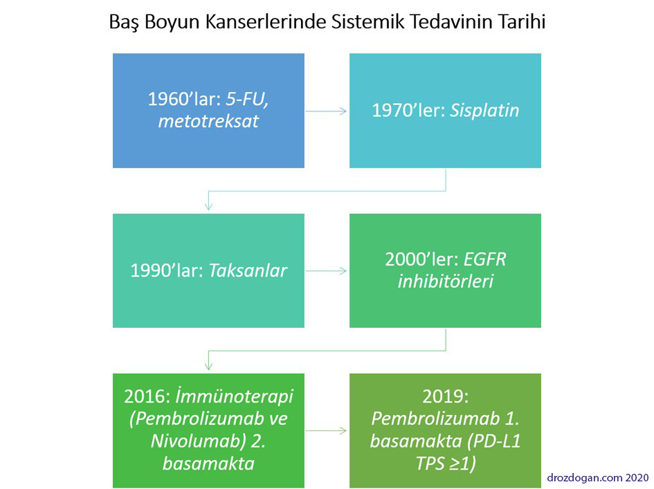 baş boyun kanserlerinde sistemik tedavilerin tarihi