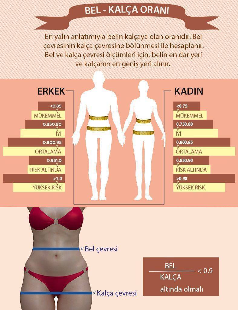 bel kalça oranı ve kanser riski