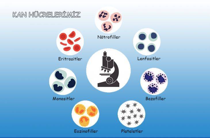 Inotuzumab Ozogamicin, Akut Lenfoblastik Lösemi ALL Tedavisinde FDA Onayı Aldı