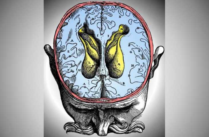 Beyin Omurilik Sıvısı 1764 – Renksiz Berrak Sıvı