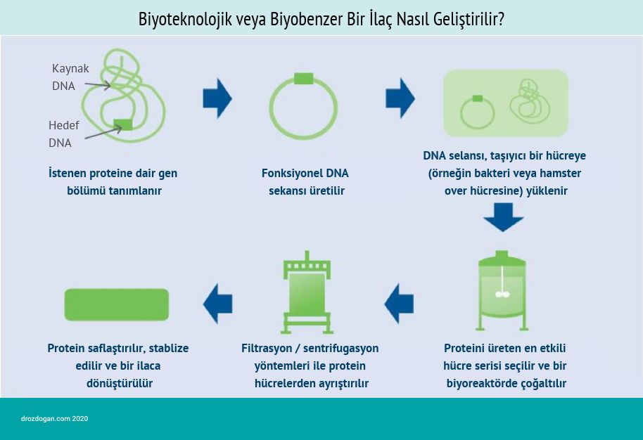 biyoteknolojik ve biyobenzer ilac nasil gelistirilir