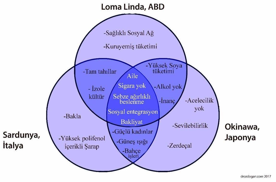 blue zones mavi bölge insanlarının ortak alışkanlıkları nelerdir