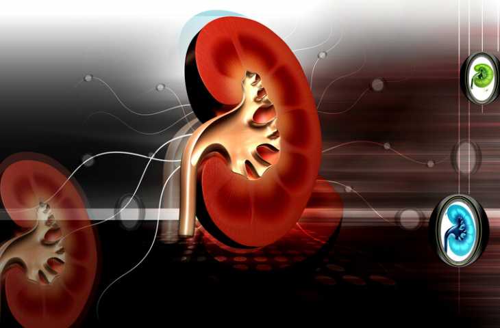 Böbrek kanseri birinci basamak tedavide pembrolizumab artı lenvatinib FDA onayı aldı