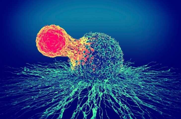 Büyük B Hücreli Lenfoma İkinci Basamak Tedavisi için Breyanzi FDA Onayı Aldı