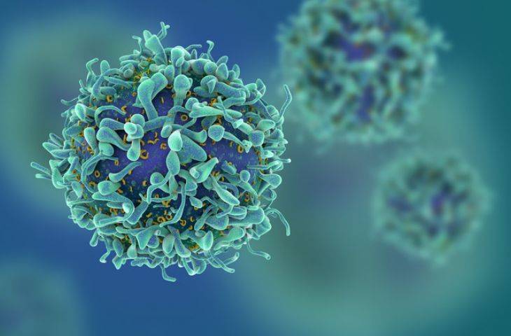 Canlı kanser ilacı, CRISPR ve elektrik şoku ile daha hassas ve güvenli