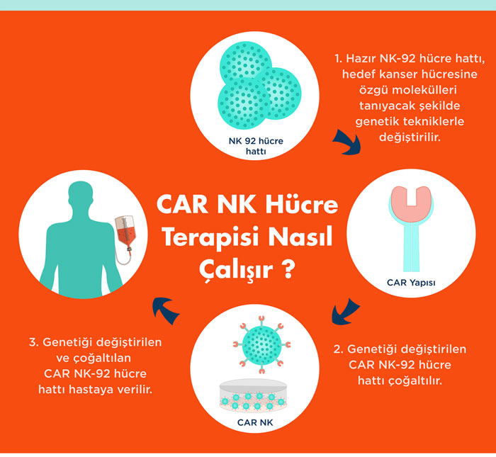 CAR NK hucre terapisi nasil calisir