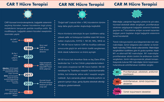 CAR T hucre tedavisi CAR NK hucre terapisi CAR M hucre terapisi