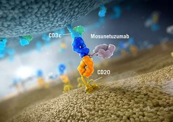 CAR T Hücre Tedavisinden Sonraki Büyük Gelişme Bispesifik Antikor Mosunetuzumab Olabilir