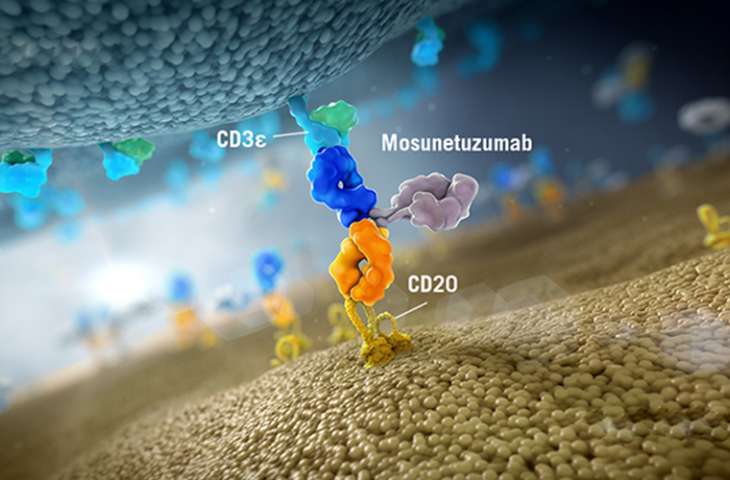 CAR T hücre tedavisinden sonraki büyük gelişme bispesifik antikor mosunetuzumab olabilir