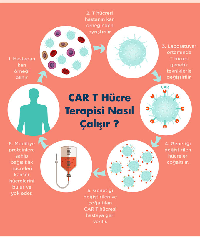 CAR T hucre terapisi nasil calisir