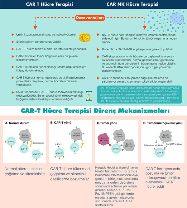 CAR T hucre terapisi ve CAR NK hucre terapisi dezavantajlari